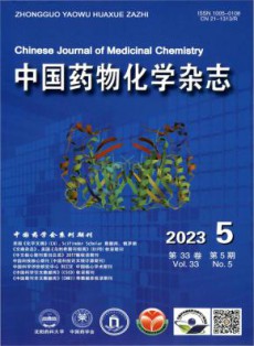 中国药物化学